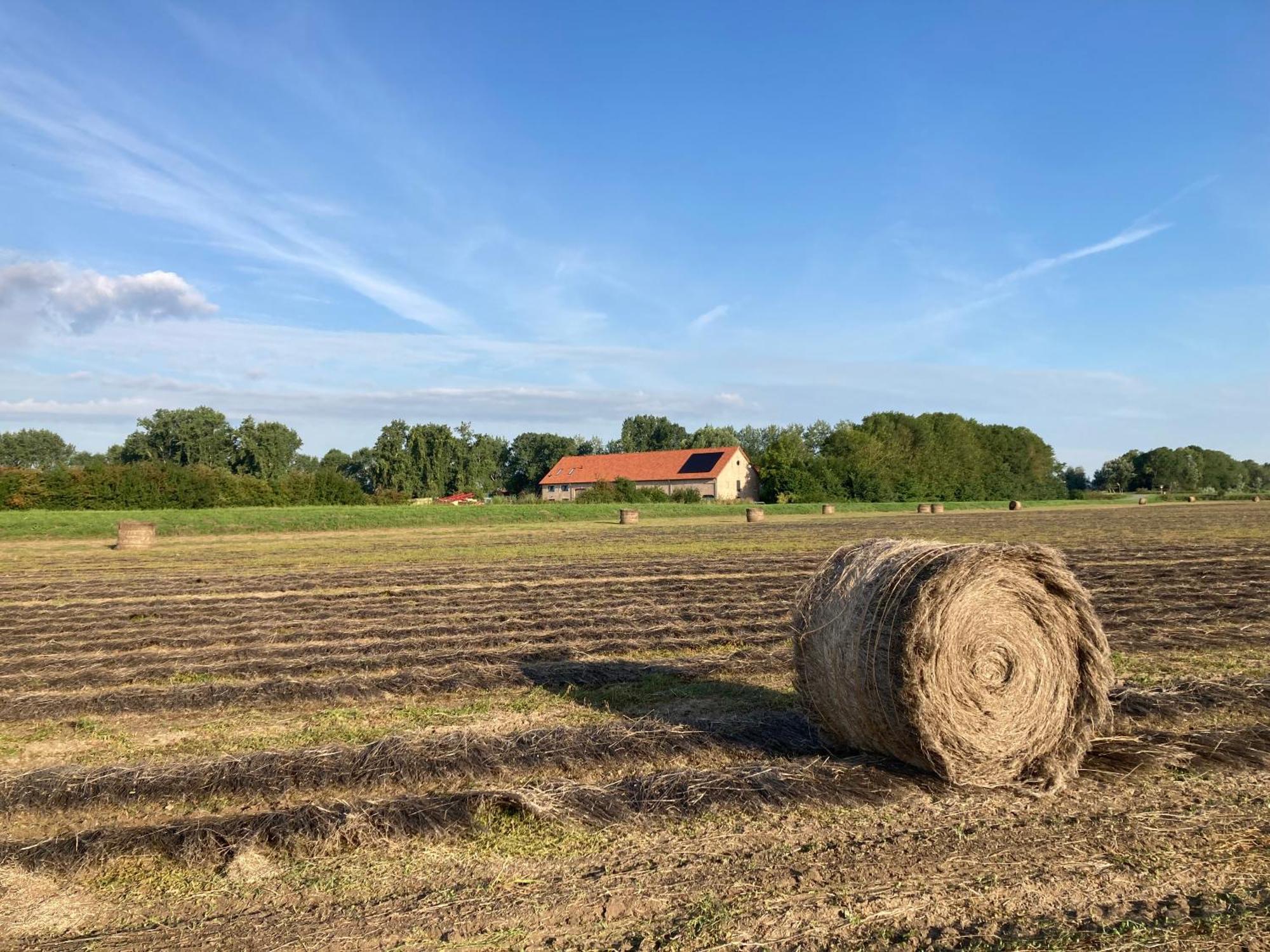 'T Wagenhuis Retranchement Exterior foto